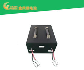 电动车电池批发 好品质源于东莞强力 电动车电池代理